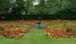  【第30回】ロンドン旅行記1 ～リージェンツパーク「クイーン・メアリーズ・ガーデン」を散策