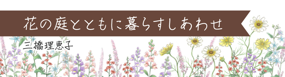 【第18回】春花壇から夏花壇へのシフト