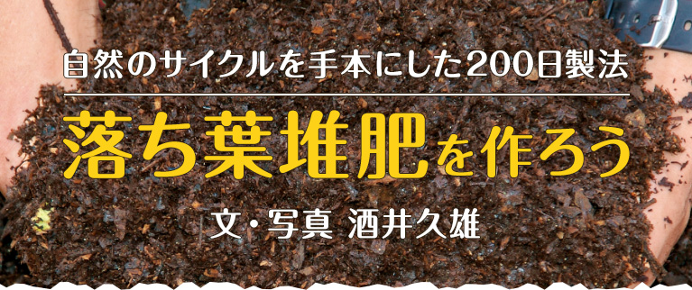 自然のサイクルを手本にした200日製法 落ち葉堆肥を作ろう 文・写真 酒井久雄