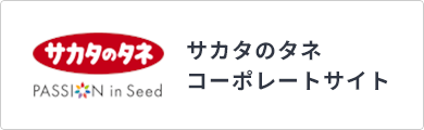 コーポレートサイト