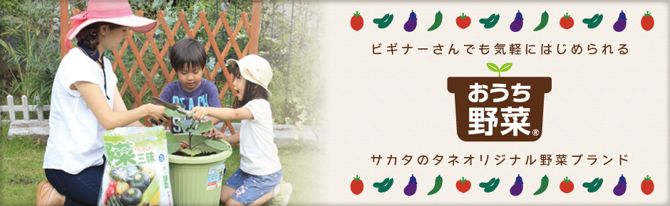 ビギナーさんでも気軽にはじめられる おうち野菜(R)