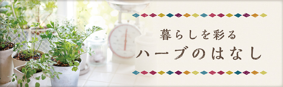 暮らしを彩るハーブのはなし