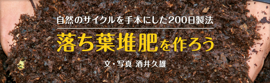 自然のサイクルを手本にした200日製法 落ち葉堆肥を作ろう
