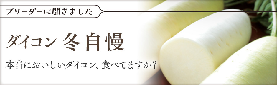 ダイコン「冬自慢」本当においしいダイコン、食べてますか？