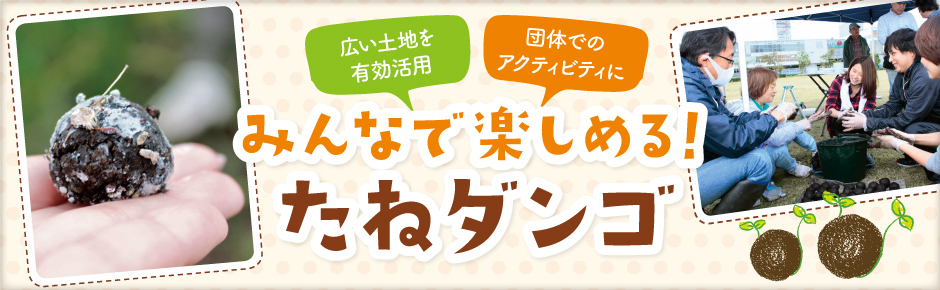 みんなで楽しめる！たねダンゴ