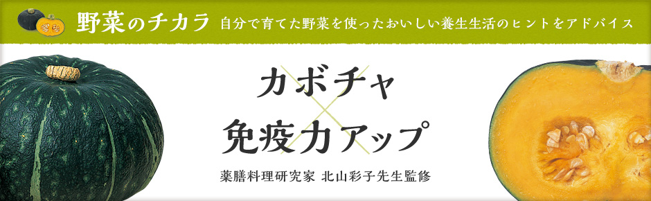 野菜のチカラ カボチャ×免疫力アップ