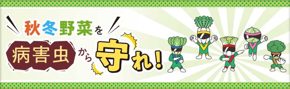 秋冬野菜を病害虫から守れ！