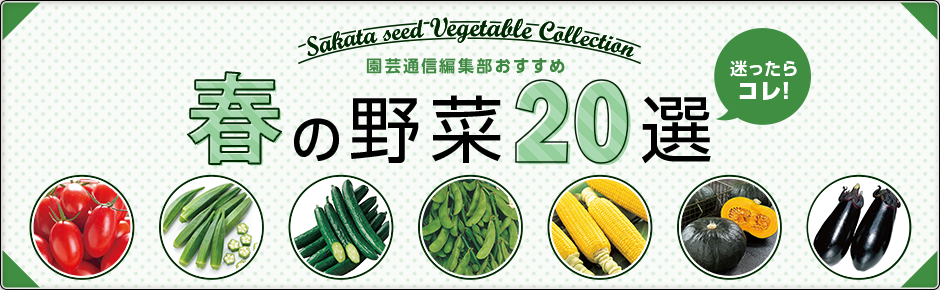 迷ったらコレ！ 園芸通信編集部おすすめ 春の野菜20選