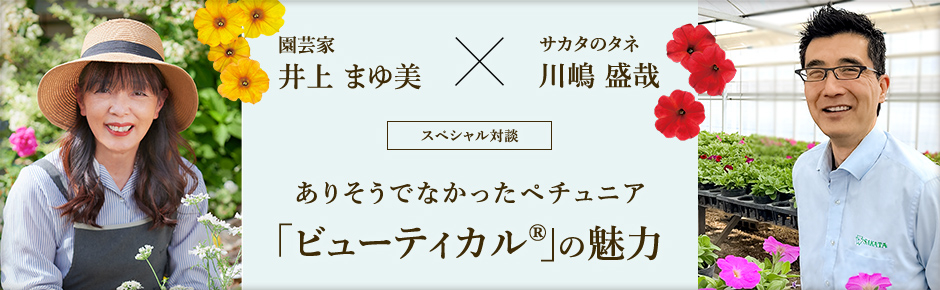 ありそうでなかったペチュニア「ビューティカル®」の魅力 スペシャル対談 井上まゆ美×川嶋盛哉