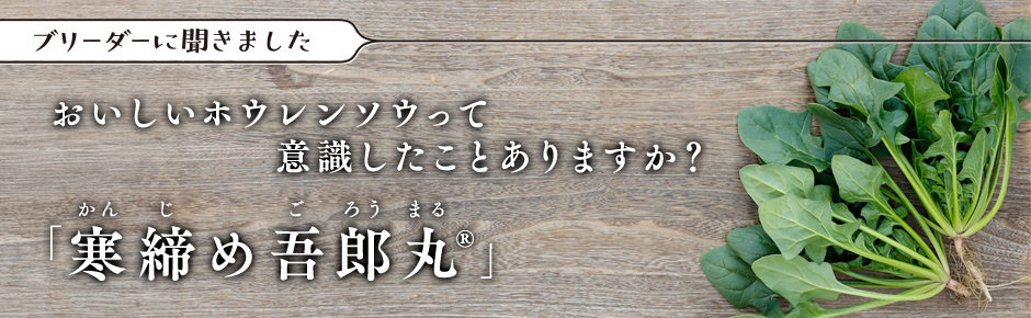 ブリーダーに聞きました ホウレンソウ「寒締め吾郎丸(R)」おいしいホウレンソウって意識したことありますか？