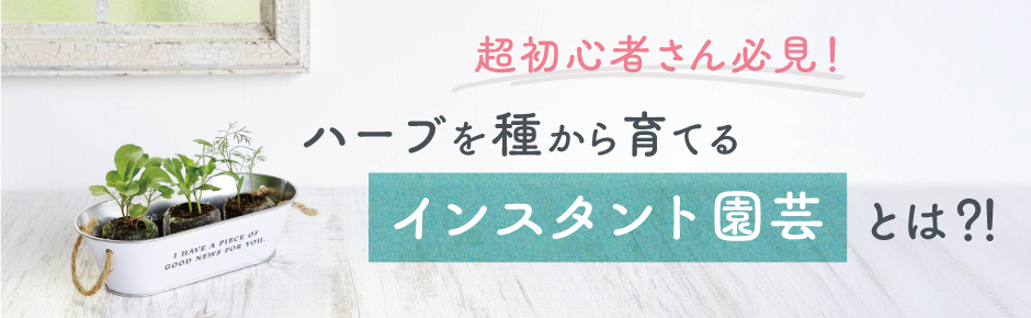 超初心者でもかんたんハーブの種まき！インスタント園芸の始め方
