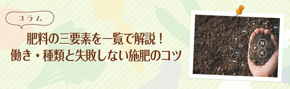 肥料の三要素を一覧で解説！働き・種類と失敗しない施肥のコツ｜コラム