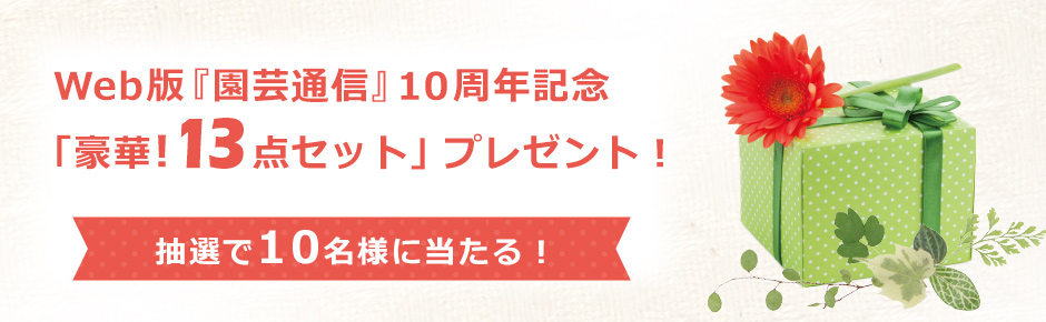Web版『園芸通信』10周年記念「サカタのタネ オリジナルグッズ 豪華！13点セット」抽選で10名様にプレゼント！2026/1/31まで