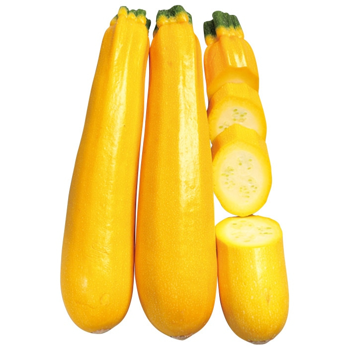 おうち野菜<sup>®</sup> ズッキーニ 夏みのる<sup>®</sup>