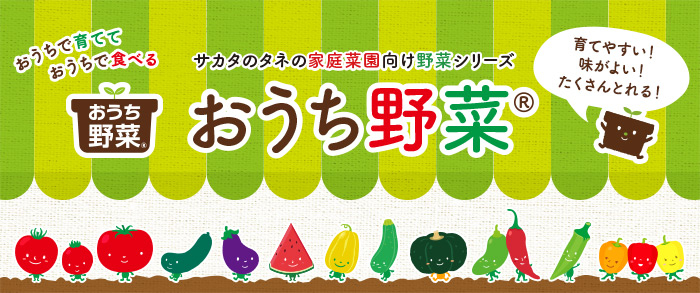 おうちで育てて、おうちで食べる 家庭菜園向け野菜シリーズ おうち野菜(R)