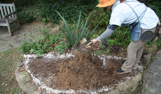 ガーデニング　畑土 02kaji_thumb.jpg