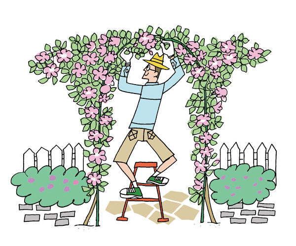 イラスト：ハンダタカコ