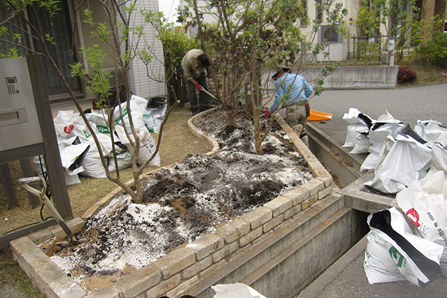 土壌改良材や肥料を地面にまいたところ。既存木の周りを花壇にするため、初回の土壌改良時はかなり多めにすき込みます