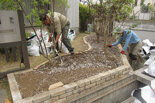 土壌改良後の地ならし。地表面がきれいにならされていると花壇もきれいに見えます