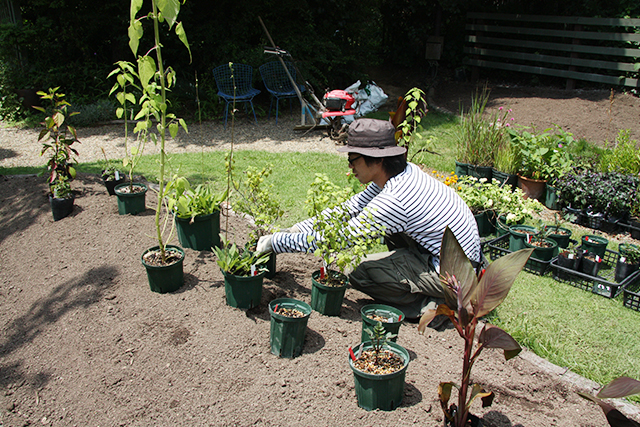 植物をレイアウトしている様子です。心うきうきしながらできるとても楽しい作業です