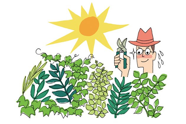 イラスト：ハンダタカコ