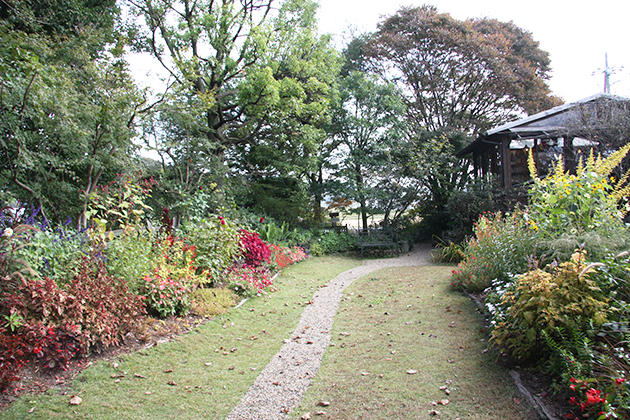 花も咲ききり、秋の風情たっぷりの花壇です。秋は、春、夏とは違った発想で、もの憂げに秋の情緒を楽しむのも乙なものです