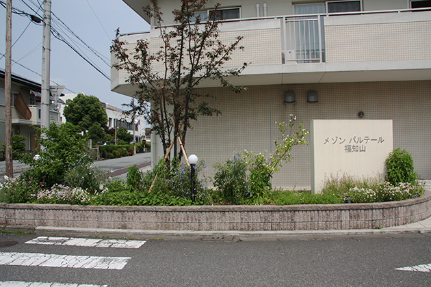 植栽して4年経過した風景です。真ん中のシンボルツリーはベニバスモモ「ハリウッド」で結構大きくなって剪定したところです。バイカウツギなど中低木も落ち着いてきたところです