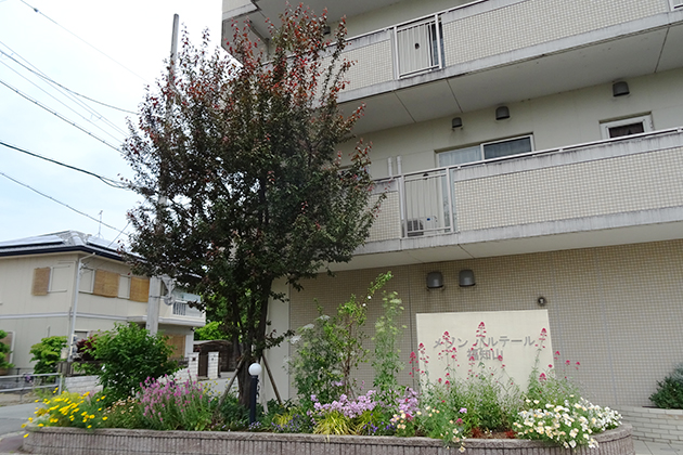 上の写真がさらに6年経過した風景です。宿根草は株を広げ、一年草も季節を謳歌しています