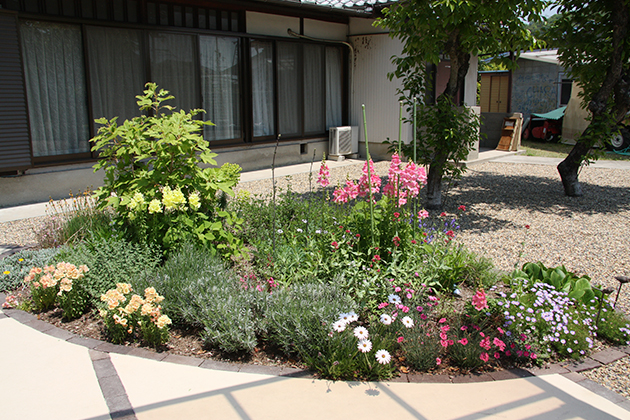 花壇をつくった初年度の風景です。春咲きの一年草や宿根草が開花を始めています