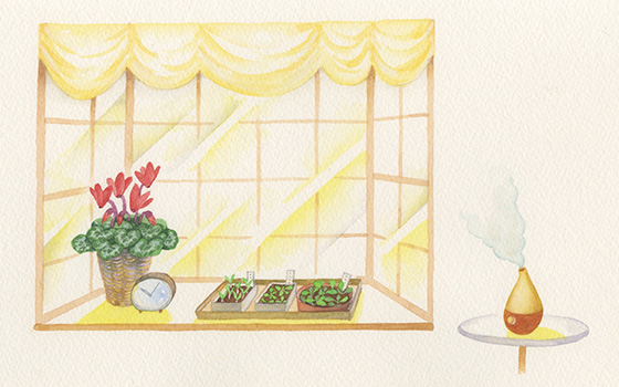 イラスト：阿部真由美