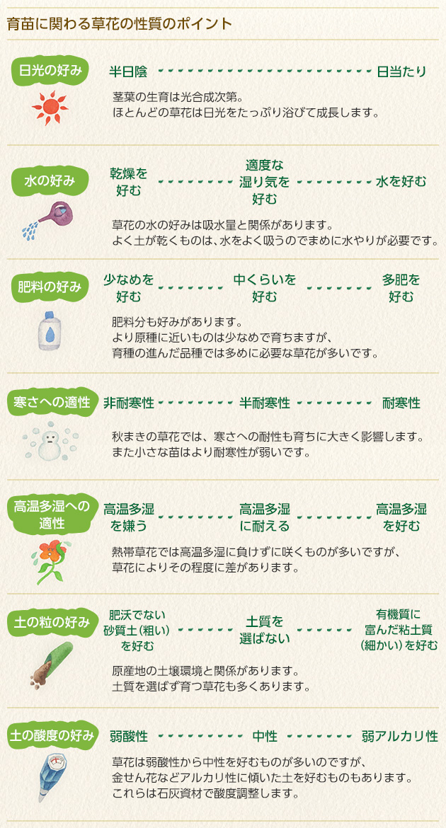 育てる草花がどんな性質なのか大まかに把握しておくとよいでしょう