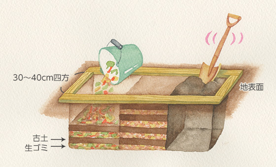 イラスト：阿部真由美