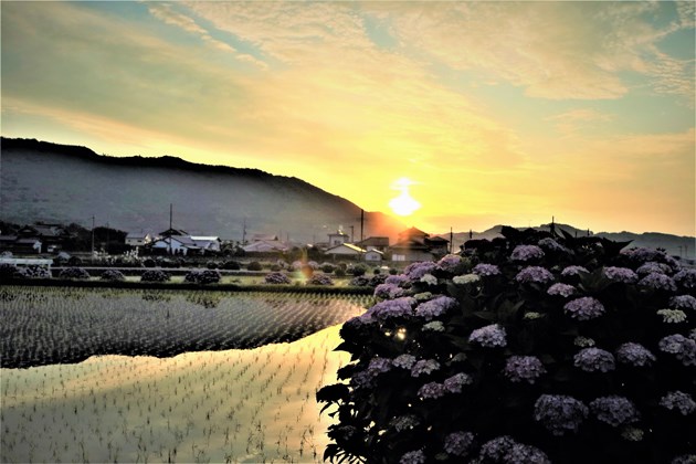 ムード満点の夕暮れ時