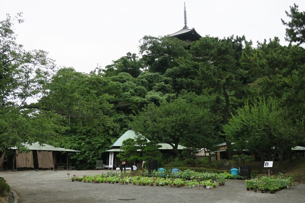 広大な園内の一角に設けられる展示場
