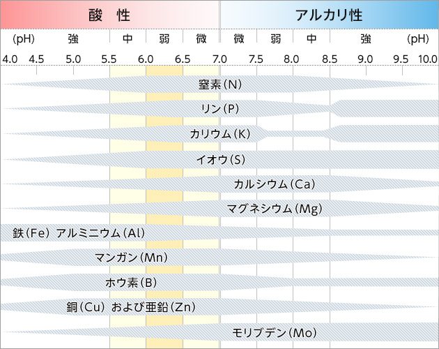 <p style=