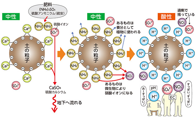 <p style=