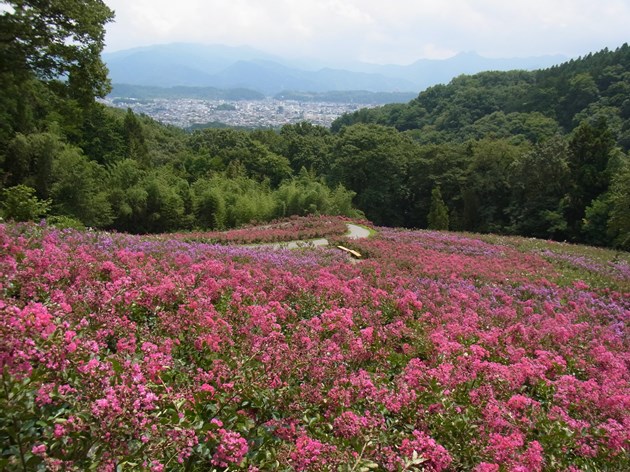 小道やベンチが整備され、素晴らしい展望