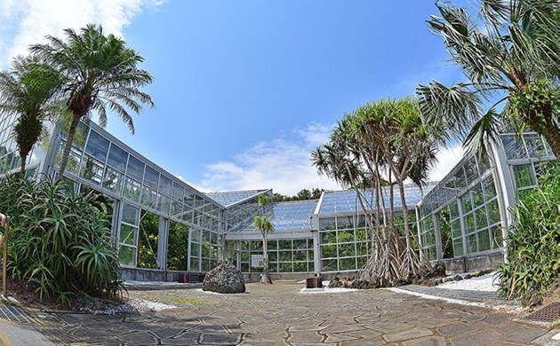 島内にある八丈植物公園は植物好きなら立ち寄りたい