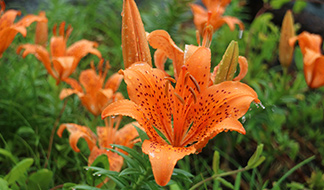 20200915kosugi_thumb.jpg