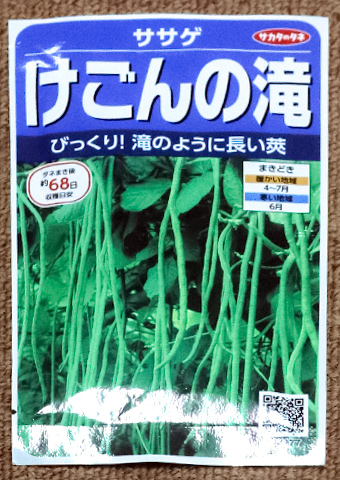 ササゲ「けごんの滝」