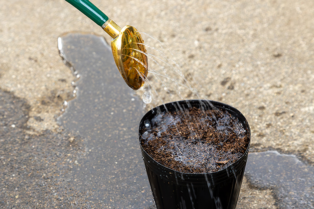 コーヒーをドリップするようなイメージで、優しく丁寧に！