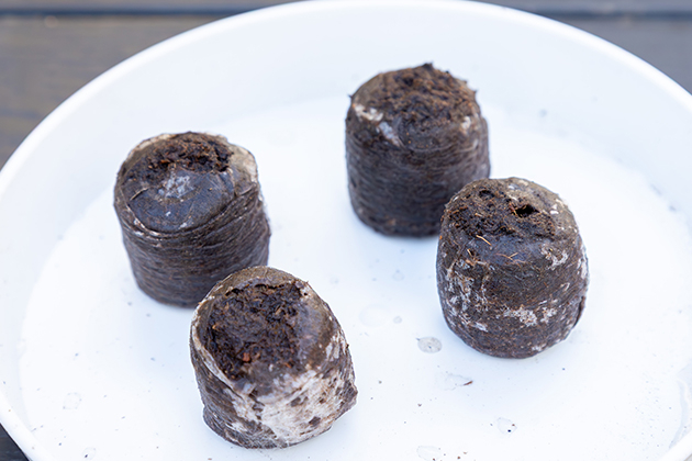 十分にふくらんだ「ジフィーセブン」