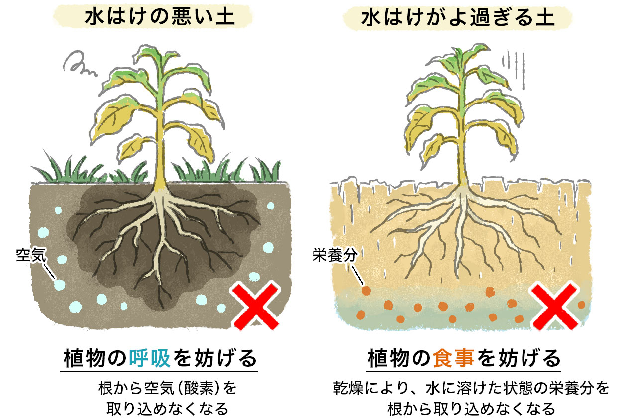 水はけの悪い土と水はけがよ過ぎる土