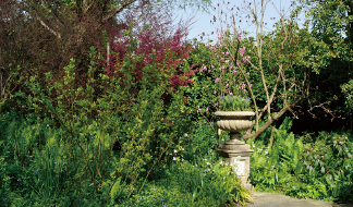 第26回】春の松江イングリッシュガーデンを訪ねて｜青木純子さんの