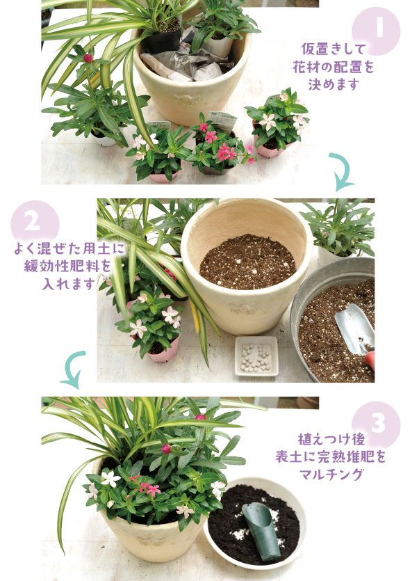 ［1］苗の配置を決める時、鉢の中に新聞紙を丸めて入れて底上げすると、寄せ植えのできあがりが想像しやすくて便利。高さのある鉢で寄せ植えを作る時は一度お試しあれ！［2］鉢の底に軽石を入れたキッチンネットを入れ、よく混ぜた土と適量の緩効性肥料を入れます。その上に土をもう一度入れて苗を定植。表土に適量の緩効性肥料を置いて［3］最後は水の蒸散や土の跳ね返りを防ぐマルチングを。完熟堆肥を敷きつめて完成です　
