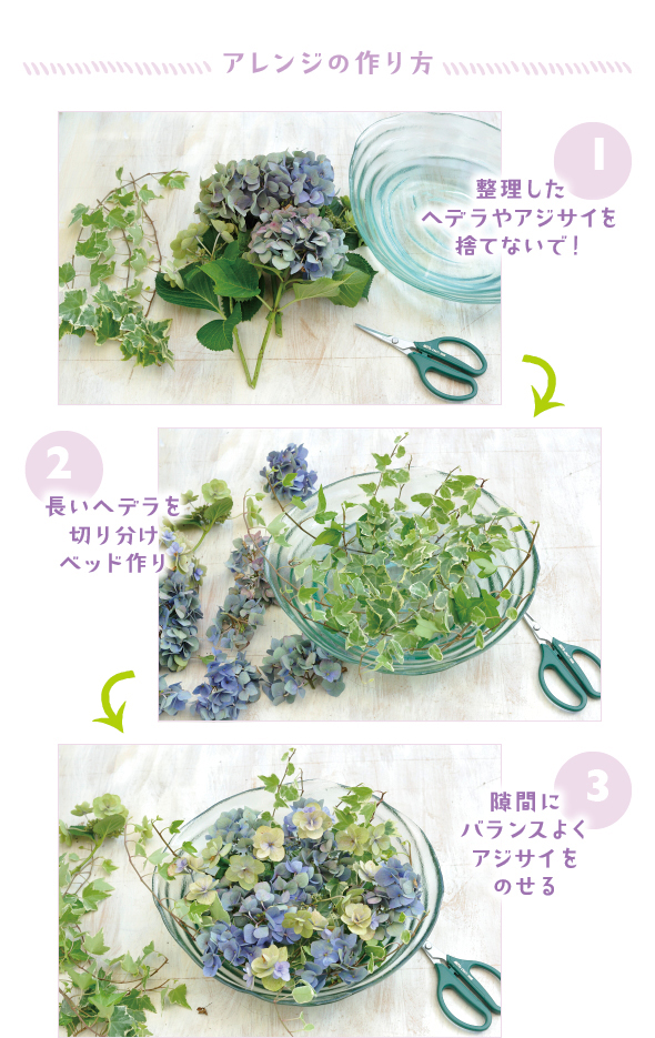 ［1］通路を覆うヘデラや花色が変化したアジサイを整理したら、捨てないでアレンジに！［2］長いヘデラのつるを切り分け、大きな器にたくさん入れて葉もののベッドを作る［3］ヘデラの間にどこからでも花の顔が見えるように、小房に分けたアジサイを飾る　