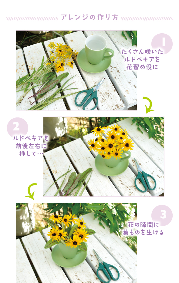 ［1］茎が丈夫なルドベキア「リトルスージー」は、小さなアレンジの花留めにぴったり［2］カップの高さに合わせて切ったルドベキアを、前後左右に生けると花が動く［3］ヤブランの葉を丸めて花の隙間に挿し込み、アレンジに優しさを添えて　