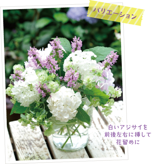 前後左右に生けた白いアジサイの間に、ピンクの花が愛らしい多年草のスタキス モニエリや淡い緑がどの花とも相性抜群のオレガノ「ケントビューティー」の花を飾って。ローメンテナンスなスタキス モニエリは半日陰の花壇で、オレガノは鉢で育てています