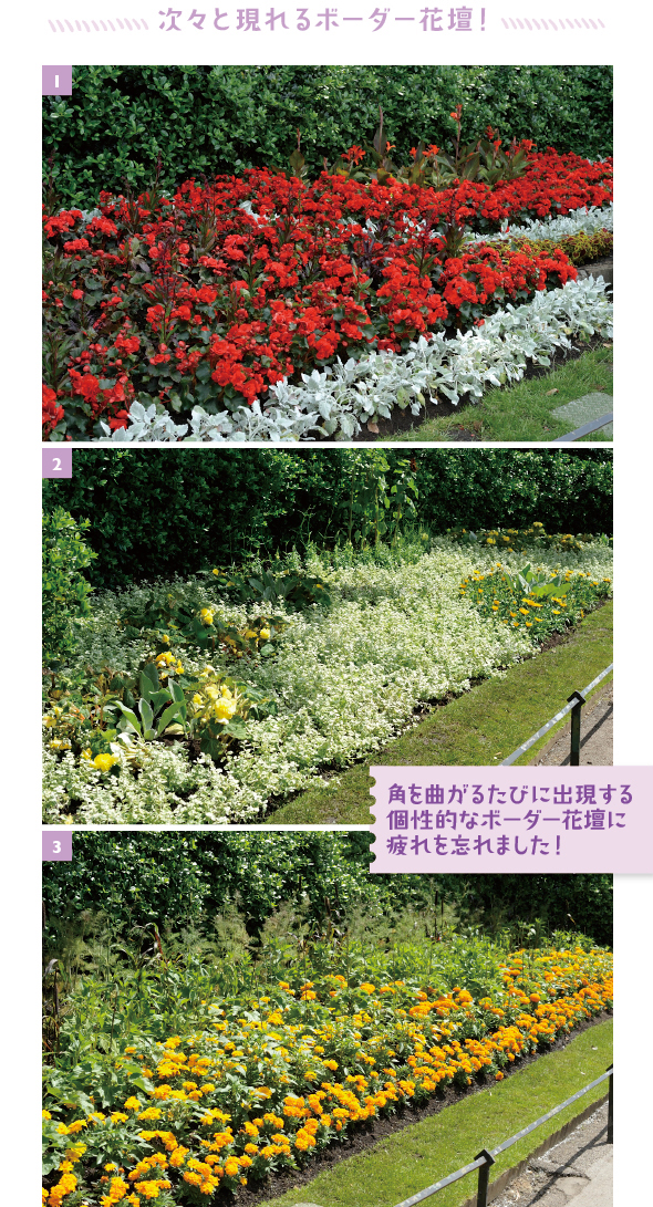 ［1］シルバーリーフのシロタエギクと赤い球根ベゴニアのコントラスを生かした植栽［2］淡い緑のヘリクリサムの間に、黄色のベゴニアやバラなどを植えたやさしい配色が魅力［3］黄色とオレンジのマリーゴールドの後ろは葉色が個性的なブロンズフェンネル　