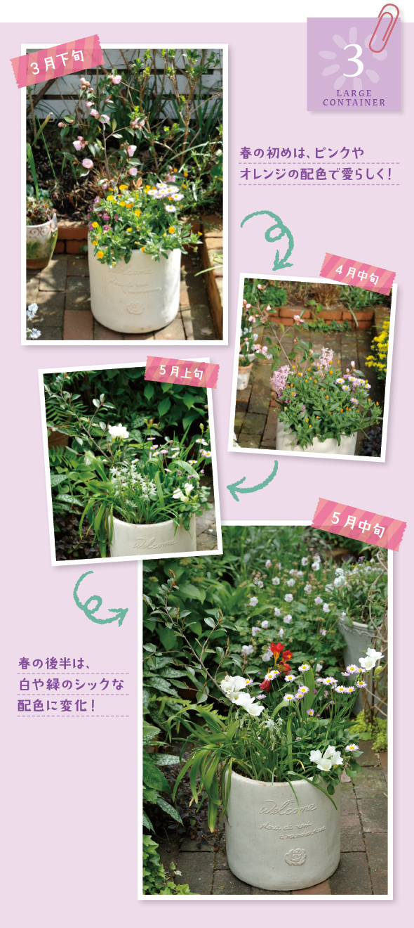 使用した草花：キンセンカ「冬知らず」、ネメシア、ツバキ「香妃」、デージー「ラベンダードリーム」、ヒヤシンス「フェスティバル」、オーニソガラム「ヌータンス」、フリージア